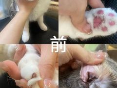-听TA说宠咖·宠物生活馆(天韵水岸店)