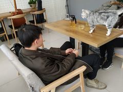 -平行世界·猫咖(首经贸店)