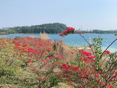 -露天矿生态公园