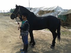 -丁香湖丁香小镇Citypark滑雪公园戏雪嘉年华