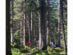 -芦芽山旅游度假区