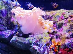 -成都浩海立方海洋公园