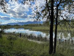 -野鸭湖国家湿地公园
