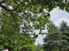-上海滨江森林公园