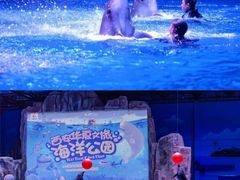 -华夏文旅海洋公园