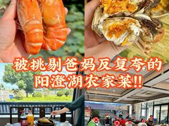 -蟹天蟹地农家菜·阳澄湖大闸蟹(浅水湾店)