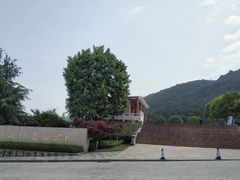 -铁山坪森林公园