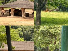 -杭州野生动物世界