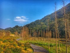 -广州市石门国家森林公园