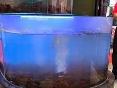 -聚在尊味虾皇·夜宵市集(新建店)