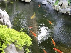 -鲤院·新中式美学·庭院餐厅(夫子庙店)