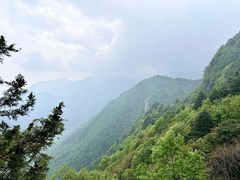 -汉中天台国家森林公园