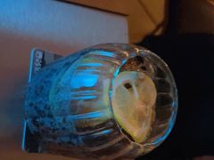 -唐萌街·咖啡·精酿·茶