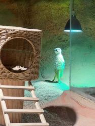 -酷嗒动物文化乐园(cutezoo西溪乐天城店)