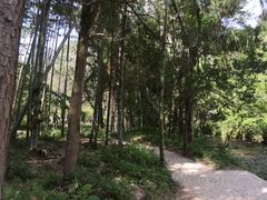 -楠溪江石桅岩