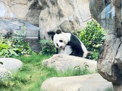-香港海洋公园