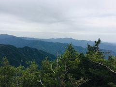 -牛背梁国家森林公园