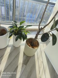 -HEYAN荷妍专业脱毛连锁机构