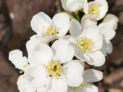 -天津东丽湖风景区