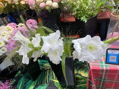 -何兮花店·气球派对鲜花店(马桥银春路万科城店)