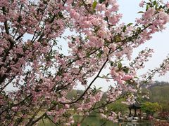 -南山风景名胜区