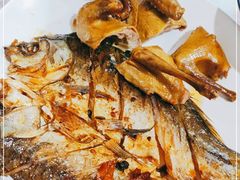 -龙小海荆沙鸽子店(瑞安街店)
