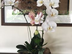 -麦哲伦丝绸度假村