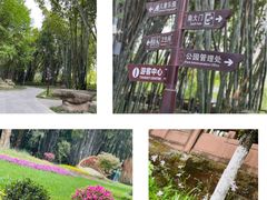 -望江楼公园