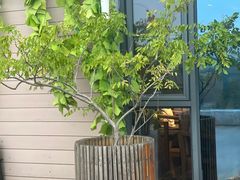 -维纳斯酒店-忆咖啡观景餐厅(象山公园店)