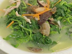 上汤桑叶-茂名正宗化州香油鸡饭店(油城五路店)