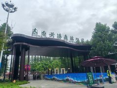 -黄海国家森林公园