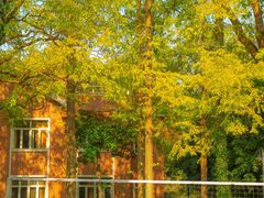 -苏州大学(天赐庄校区)