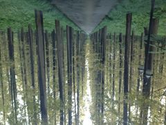 iphone_upload_pic-上海怡沁园度假酒店