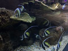 -蓬莱欧乐堡海洋极地世界