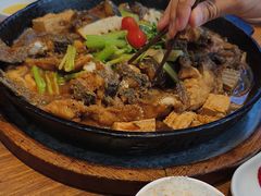 -老板恋上鱼(恒隆广场店)