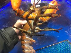 -盒马鲜生(莱蒙都会店)