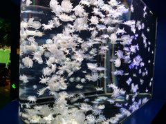 -太平洋海底世界