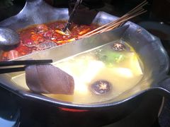 红颜花胶鸡锅-湊湊火锅·茶憩(石家庄万象城店)