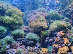 -南昌海洋公园