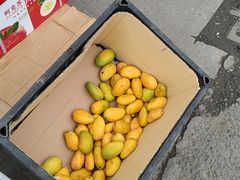 -双福水果批发市场