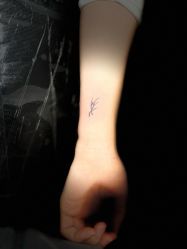 -英刺青 纹身 洗纹身