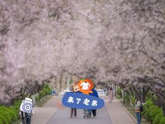 -山东师范大学(千佛山校区)