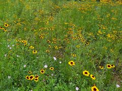 -福建鲤鱼洲酒店