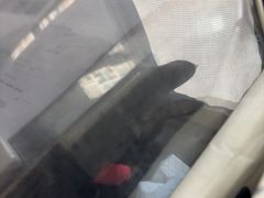 -半岛宠物医院24小时·内窥镜·牙科·碎石中心(府城大道店)