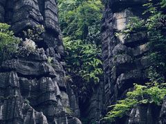 -梭布垭石林景区