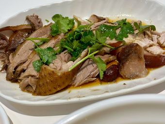 苏南澄海狮头鹅