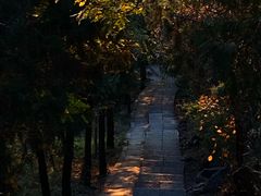 -北京十三陵国家森林公园蟒山景区