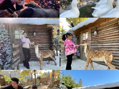 -HERRE·FARM 赫尔露营农场·团建聚会包场