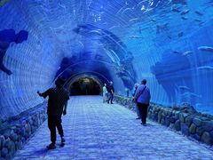 -华夏文旅海洋公园