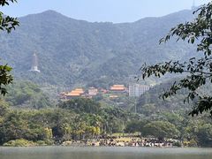 -深圳仙湖植物园